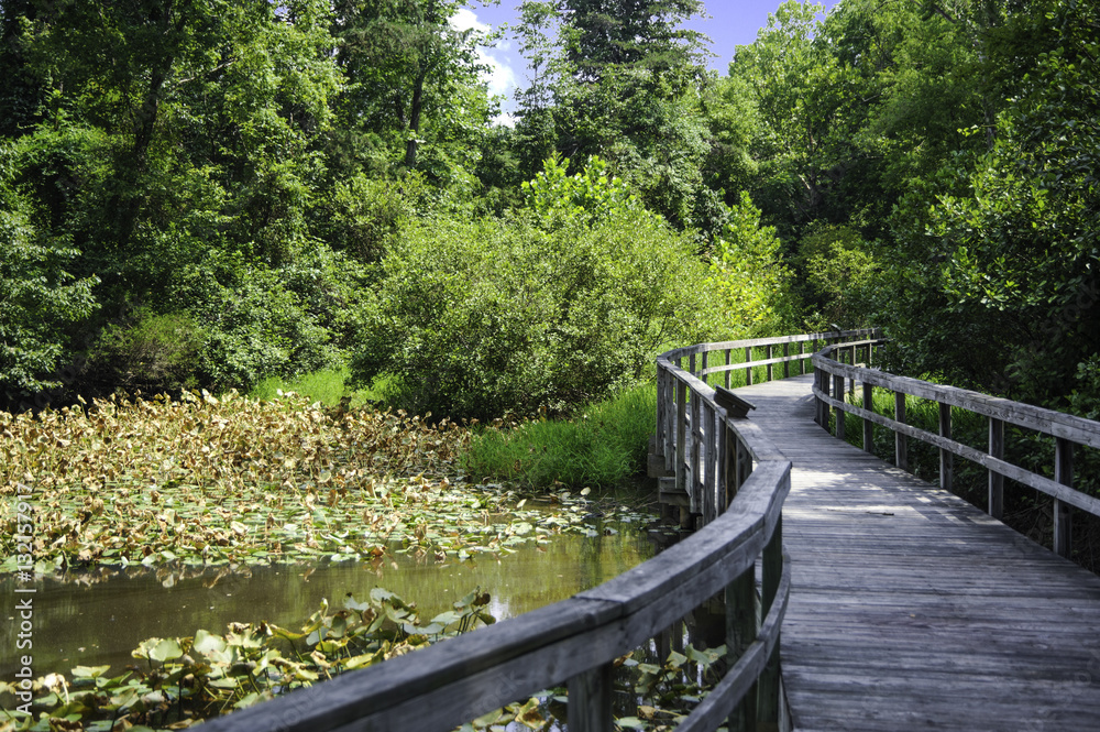 Boardwalk Through the Marsh Boardwalk Through the Marsh