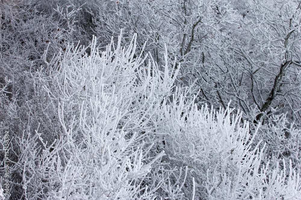 Fototapeta premium Paysages sous le gel et le givre