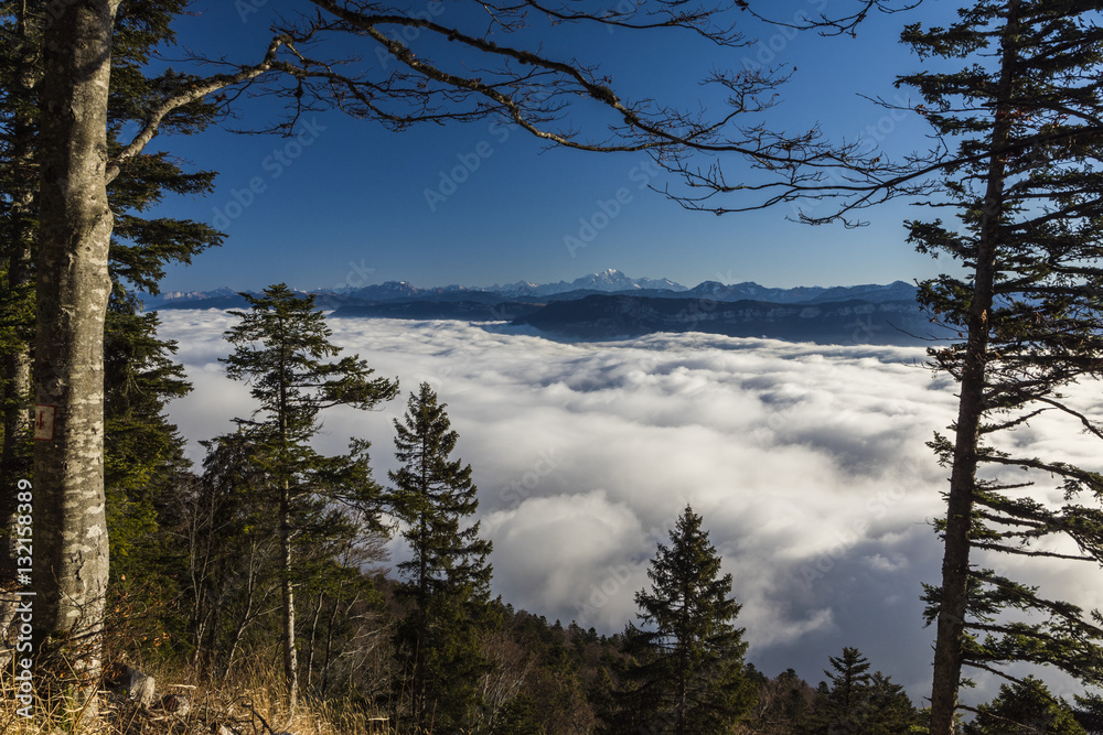 Mont du Chat - Le Bourget du Lac - Savoie. Mont du Chat - Le Bourget du Lac - Savoie.