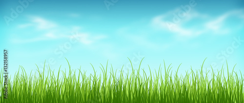 Wonderful warm spring day. Grass and sky with clouds. Panorama.
