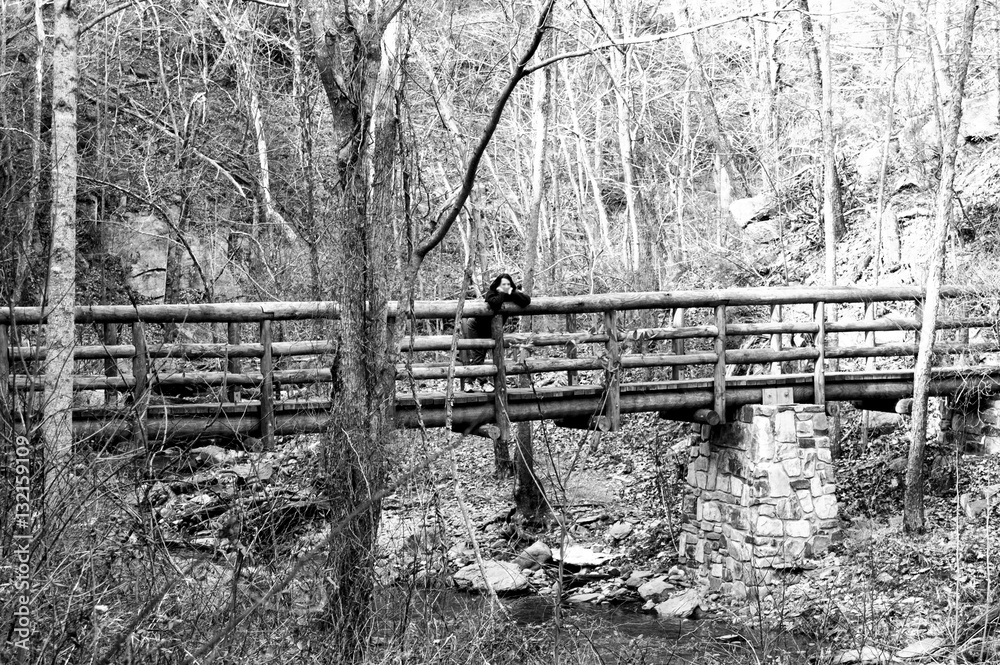 Fototapeta premium Bridge on Trail