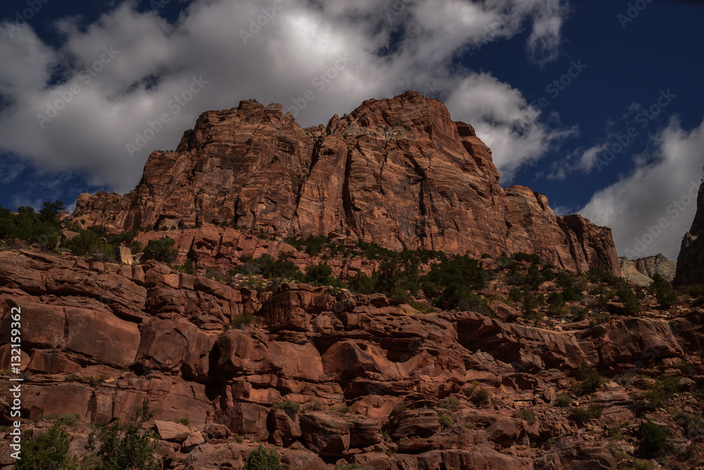Fototapeta premium Zion Canyon's Erosion-Sculptured Sandstone