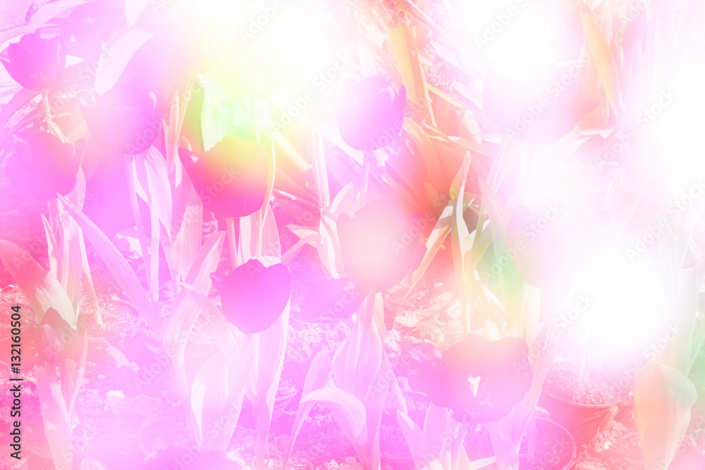  Double exposure of The flower and love background
