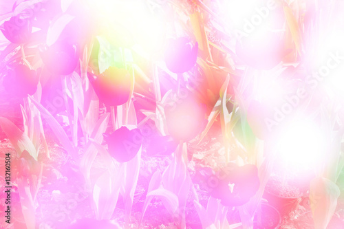  Double exposure of The flower and love background 