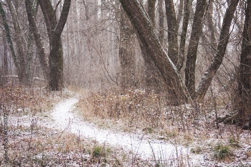 Wallpaper Mural Snowing landscape in the park
 Torontodigital.ca