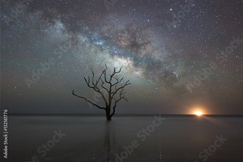 Fototapeta Botany Bay Beach under the Milky Way Galaxy