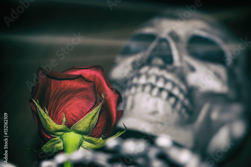 Rose and Skeleton. A red rose laid on a skeleton, death concept. Edited in vintage film style.