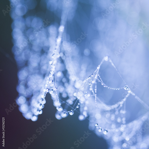 Abstract composition with water drops, spiderwebs and bokeh
