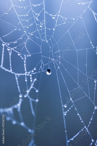 Abstract composition with water drops, spiderwebs and bokeh © ileana_bt