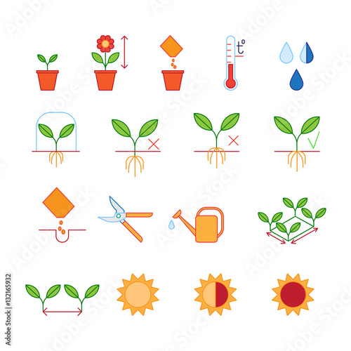 Seeding - planting instructions steps, pruning shears, watering icons set