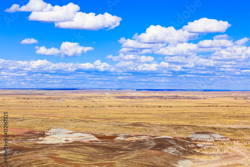 Arizona petrified forest