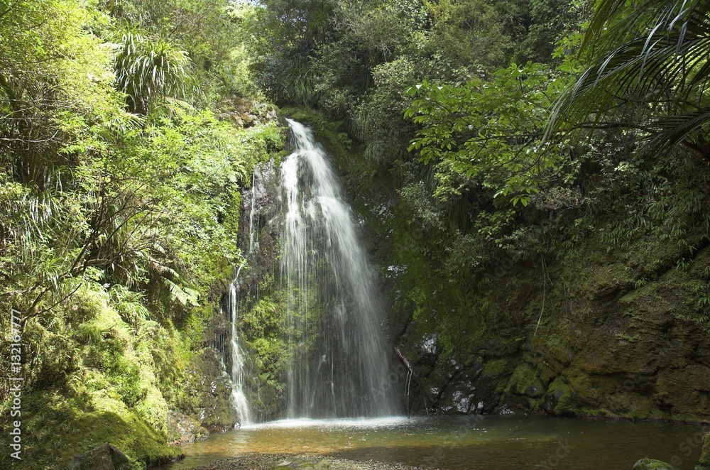 Waterfall in New Zealand rain forest