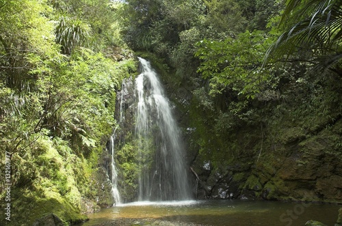 Waterfall in New Zealand rain forest