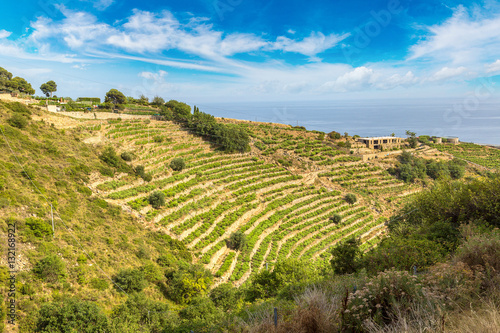 Azure coast in Italy