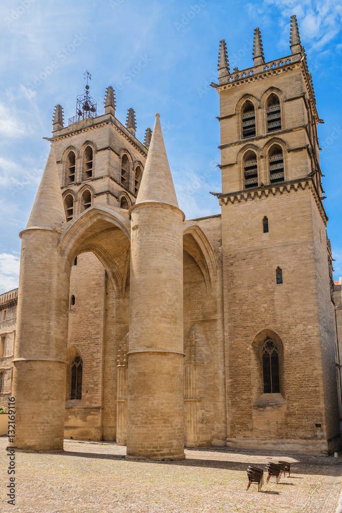 Montpellier Cathedral (Cathedrale Saint-Pierre). France.