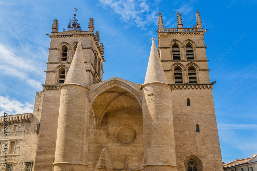 Montpellier Cathedral (Cathedrale Saint-Pierre). France.