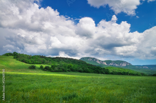 Beautiful mountain landscape with chamomiles and cloudy sky.