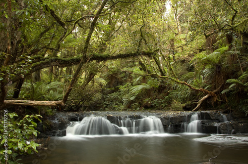 Waterfall in the Catlins Coastal forest New Zealand photo