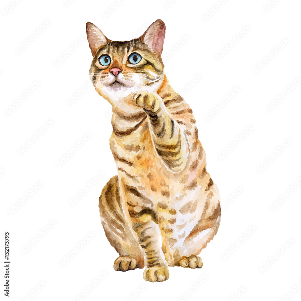 Watercolor portrait of bengal cute cat with dots, stripes isolated on