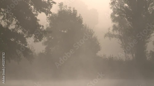 Brumes matinale sur un lac
