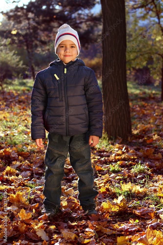 Portrait of a happy boy in the autumn park