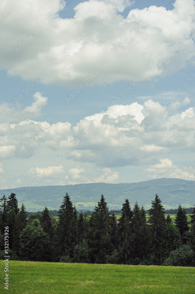 Hills covered with green grass under blue sky Hills covered with green grass under blue sky
