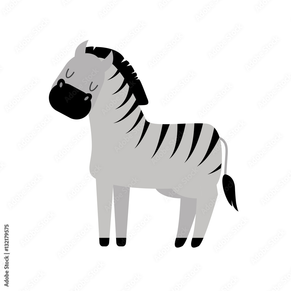 Obraz premium Zebra vector illustration.