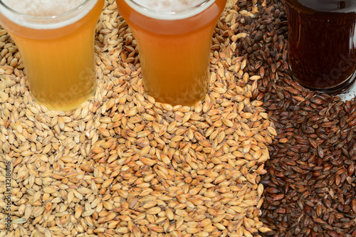 Home brew beer ingredients with various grains illustrating different color and the beers produced from different mixtures of grains