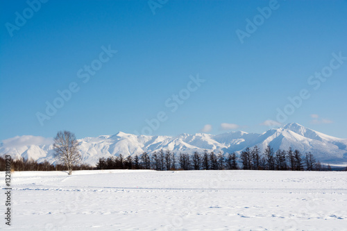 雪原と青空 photo