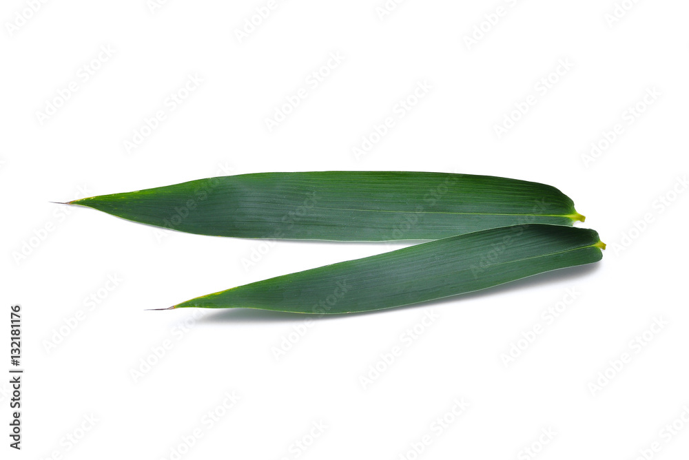 Fototapeta premium Bamboo leaf isolated on white background