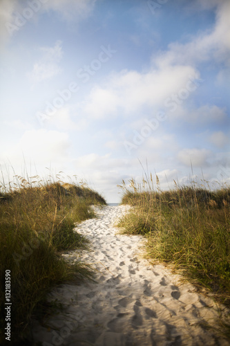 Fototapeta Naklejka Na Ścianę i Meble -  Pathway in sand dune to beach