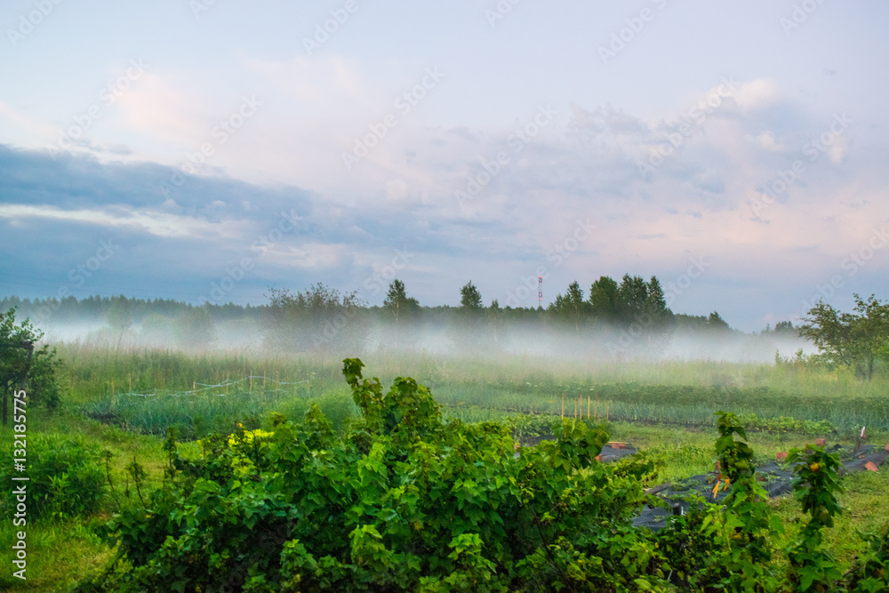Fog under meadow rural landscape Russia