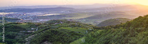 panorama of the surrounding area of Koper  Slovenia  vineyards