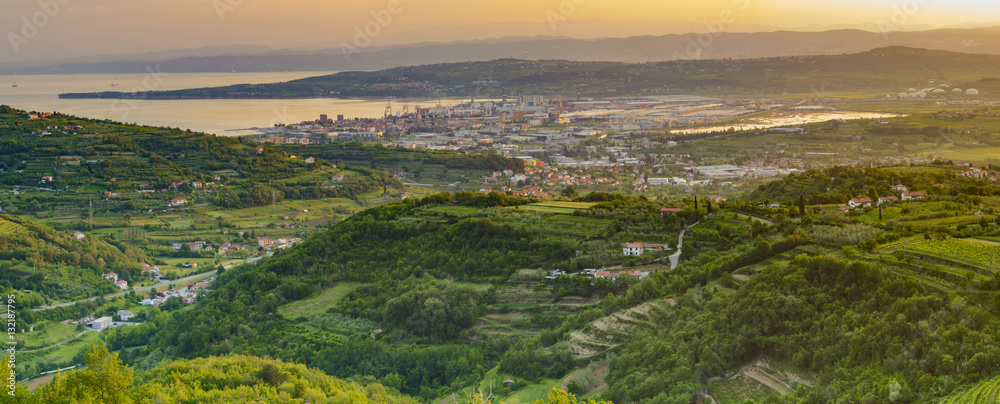 panorama of the surrounding area of Koper, Slovenia, vineyards