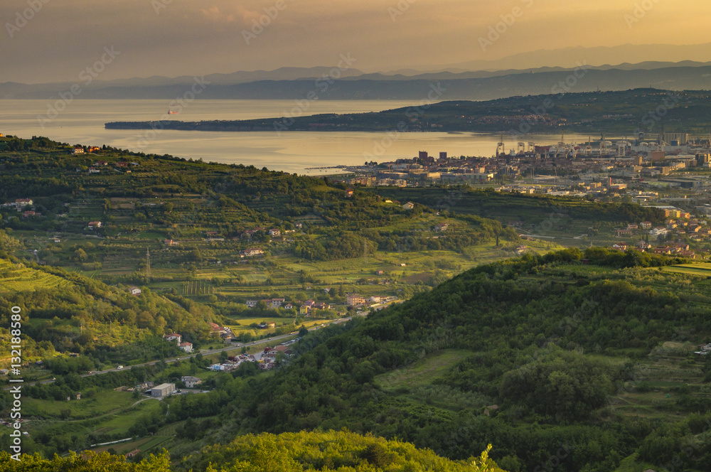 panorama of the surrounding area of Koper, Slovenia, vineyards