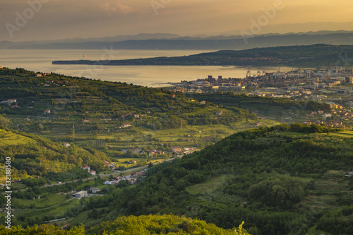 panorama of the surrounding area of Koper  Slovenia  vineyards