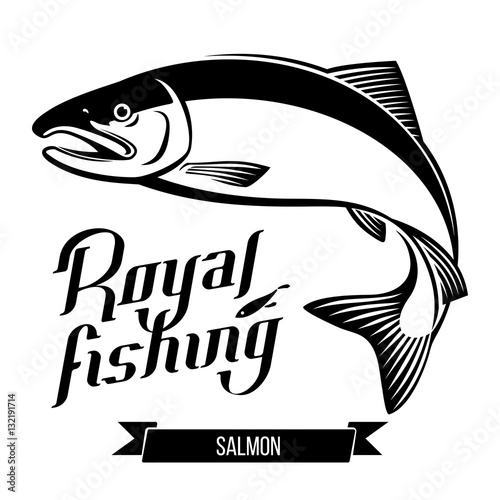 Salmon fish vector illustration