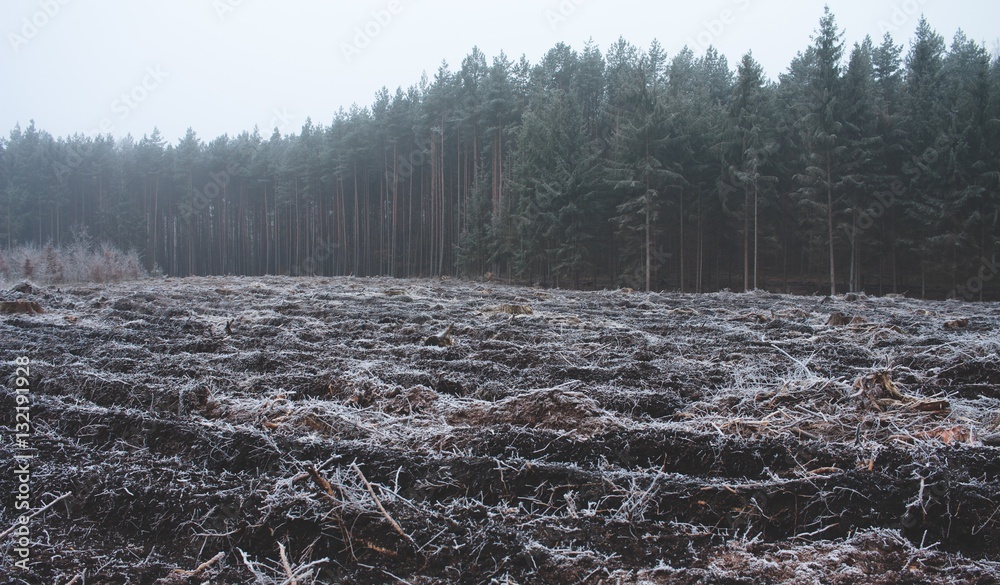 Frozen field