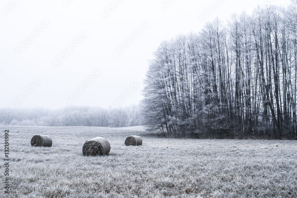 Winter in Poland