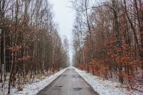 Obraz na płótnie Road into winter w salonie