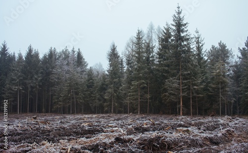 Obraz na płótnie Frozen field w salonie