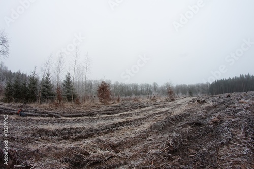 Obraz na płótnie Frozen field w salonie