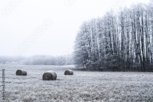 Obraz na płótnie Winter in Poland w salonie