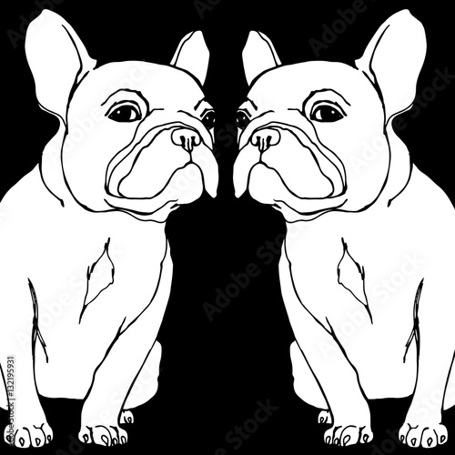 dog vector breed cute pet animal bulldog