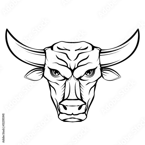 Bull head design on white background wild Vector Image