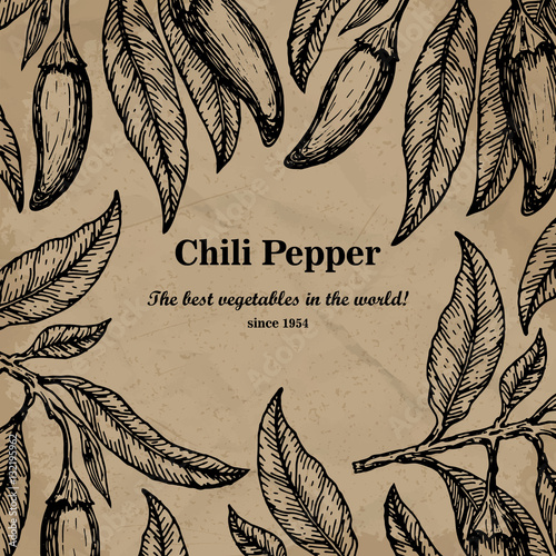 Chili package design element. Template for your design. Vector illustration. photo