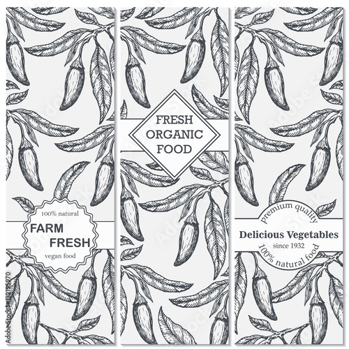 Template for label design with sketched chili pepper. Can be used for vegan products, brochures, banner, restaurant menu, farmers market. Vector illustration.