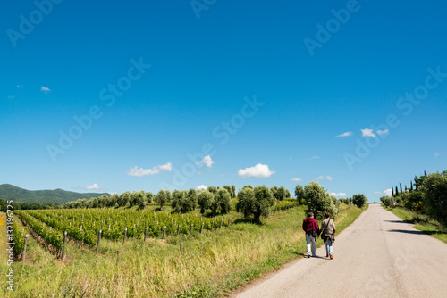 Wanderer auf einer Strasse durch das Weingebiet Bolgheri