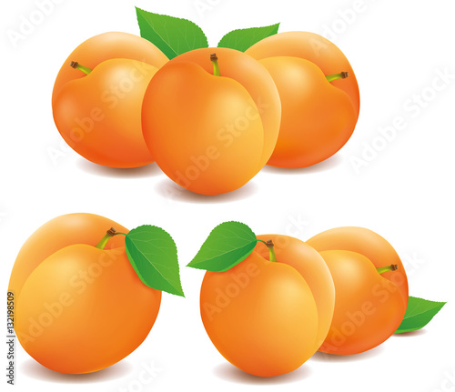 Fresh apricot fruits isolated on white background
