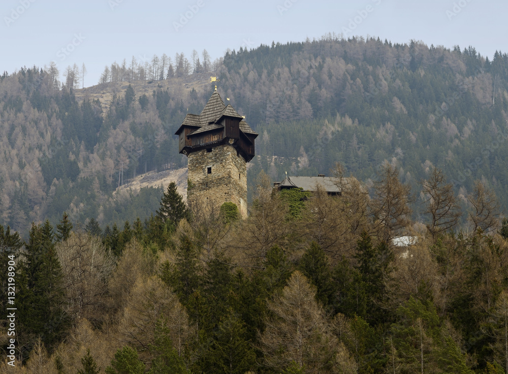 Niederfalkenstein Castle barbican
